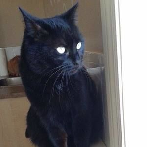 Meet your Posher, Manon